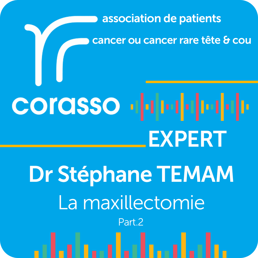 vignette expert dr temam part2