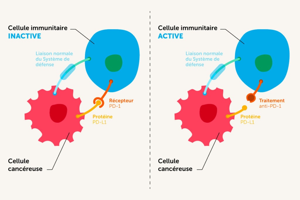 schema immunotherapie
