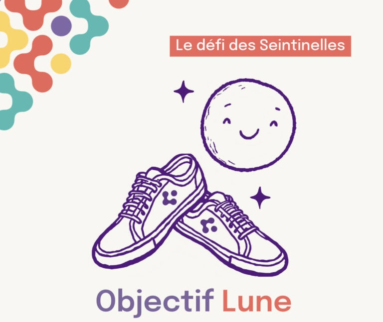 Le défi des seintinelles