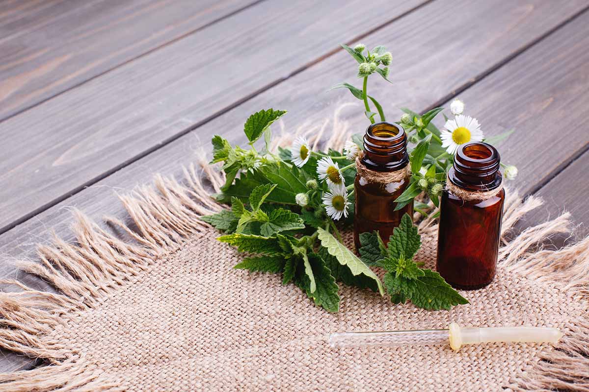 naturopathie